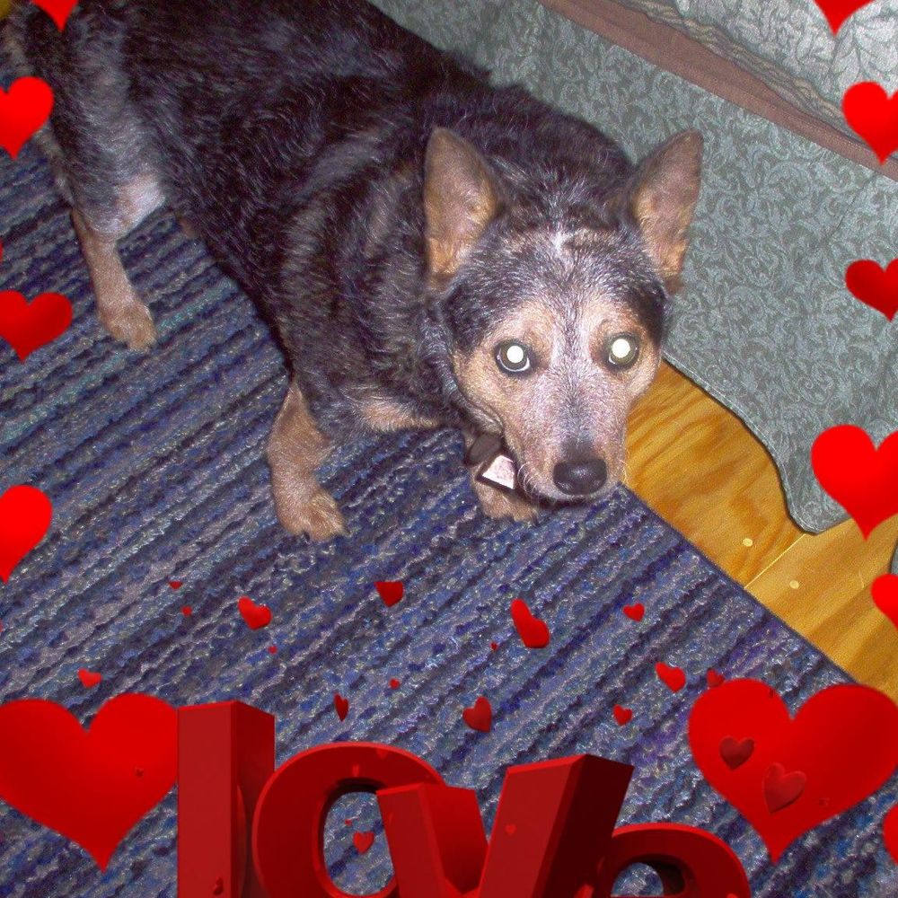 Meet your Posher, Pamela